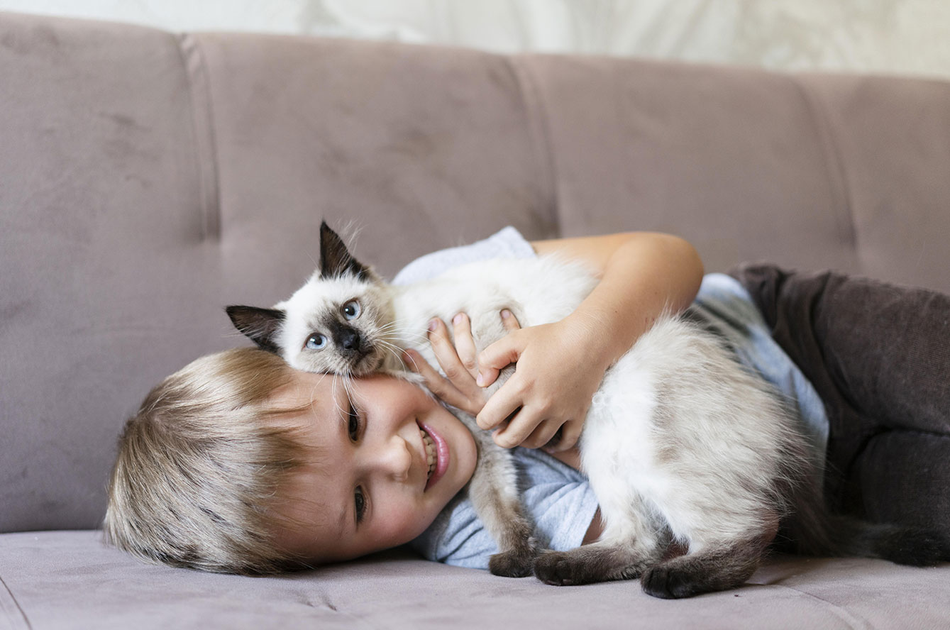 Arrivée d'un chat à la maison : guide pour bien l'accueillir