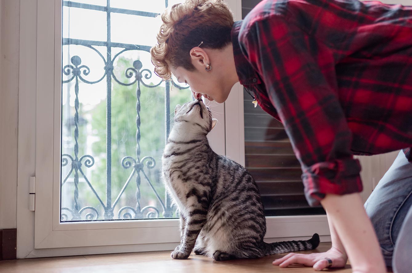 Leucose féline : qu’est-ce que c’est ? Comment protéger son chat ?