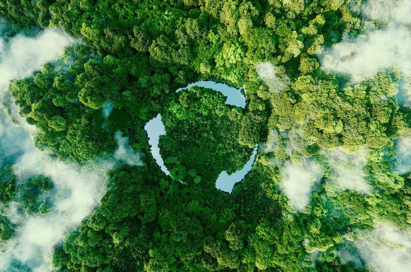 Tout savoir sur l’économie circulaire : définition et exemple
