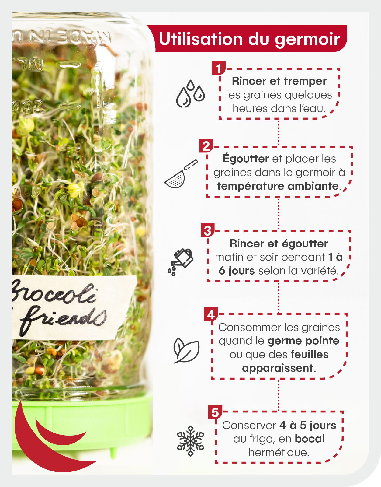 Comment utiliser un germoir